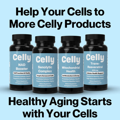 Celly Autophagy Activator | Longevity Supplement for Cellular Nutrition and Healthy Aging | Promotes Cell Renewal with Spermidine, Pterostilbene, Fisetin, and NAC | Made in USA & 3rd Party Tested - dailyvitalstore