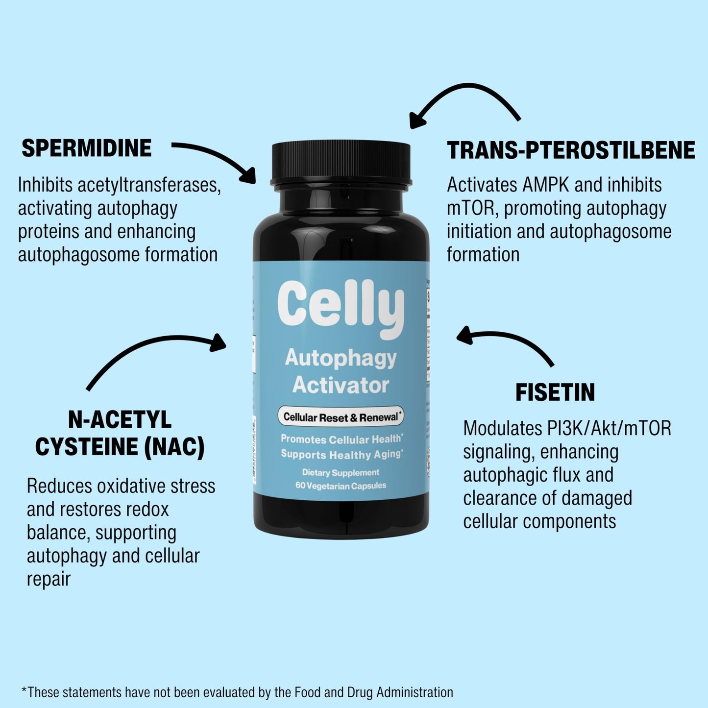 Celly Autophagy Activator | Longevity Supplement for Cellular Nutrition and Healthy Aging | Promotes Cell Renewal with Spermidine, Pterostilbene, Fisetin, and NAC | Made in USA & 3rd Party Tested - dailyvitalstore