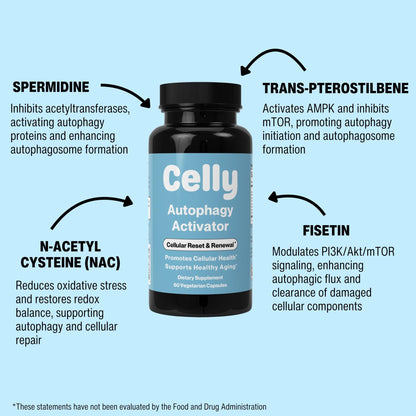 Celly Autophagy Activator | Longevity Supplement for Cellular Nutrition and Healthy Aging | Promotes Cell Renewal with Spermidine, Pterostilbene, Fisetin, and NAC | Made in USA & 3rd Party Tested - dailyvitalstore
