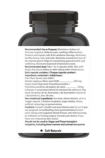 Celt Immunocare 60 v-caps - Potent Seasonal Allergy Blend - Adult Immunity Support - Cholesterol Modulator - Plant Sterols Ultra Strength - 7 Key Immunity Enhancing Ingredients - dailyvitalstore