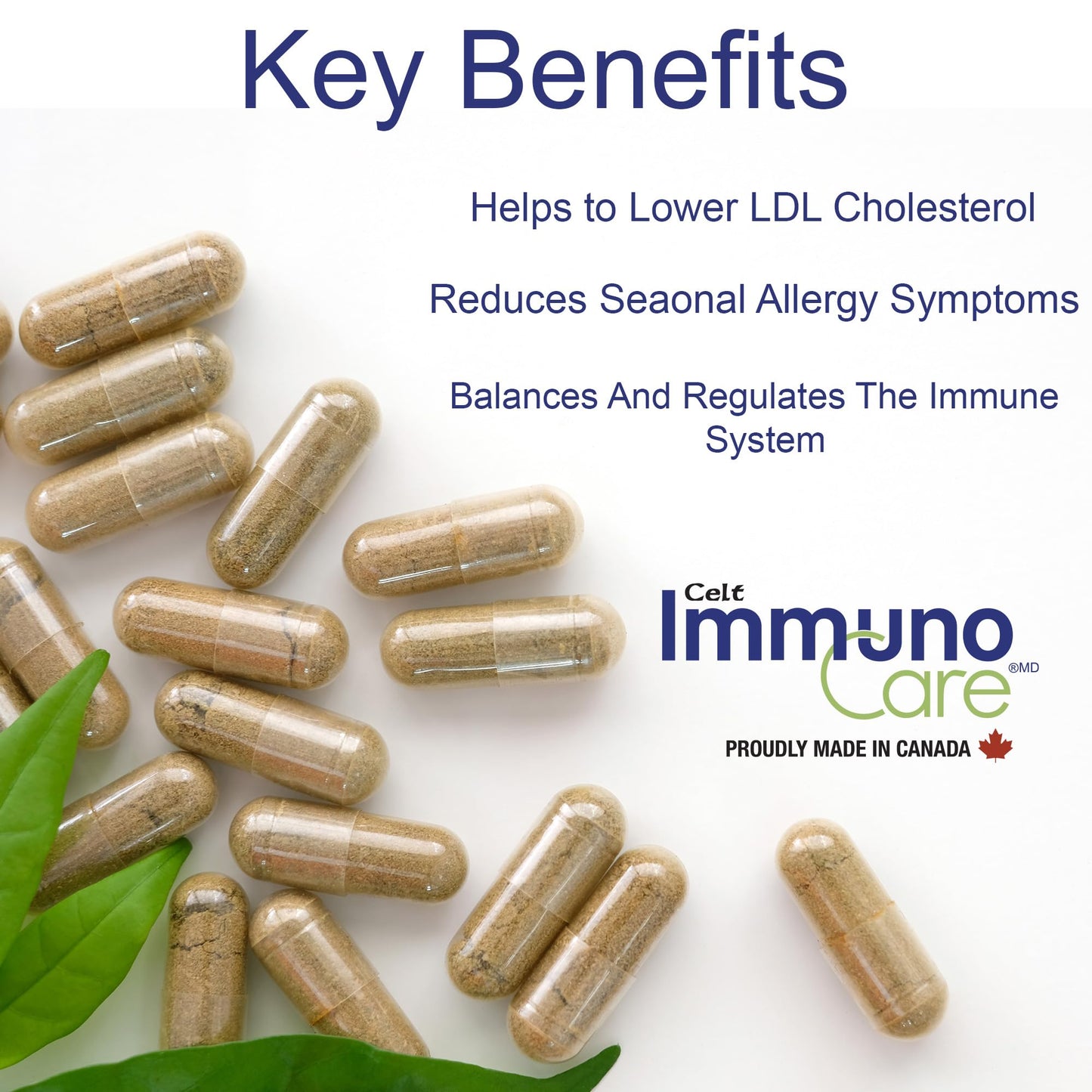 Celt Immunocare 60 v-caps - Potent Seasonal Allergy Blend - Adult Immunity Support - Cholesterol Modulator - Plant Sterols Ultra Strength - 7 Key Immunity Enhancing Ingredients - dailyvitalstore