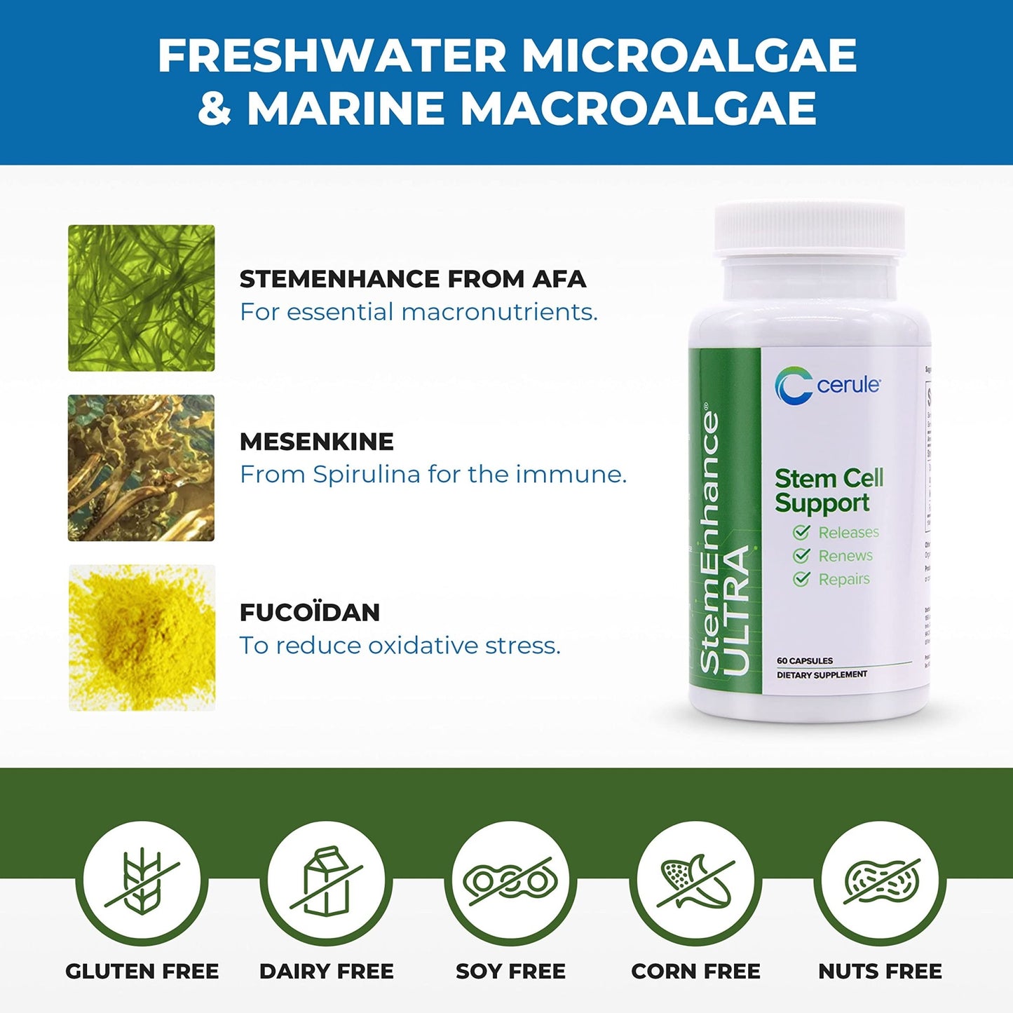 Cerule StemEnhance Ultra Natural Stem Cell Support Supplement – Freshwater Microalgae and Marine Macroalgae Extracts for Cellular Renewal, Immune Function, Energy, and Tissue Recovery – 60 Capsules - dailyvitalstore