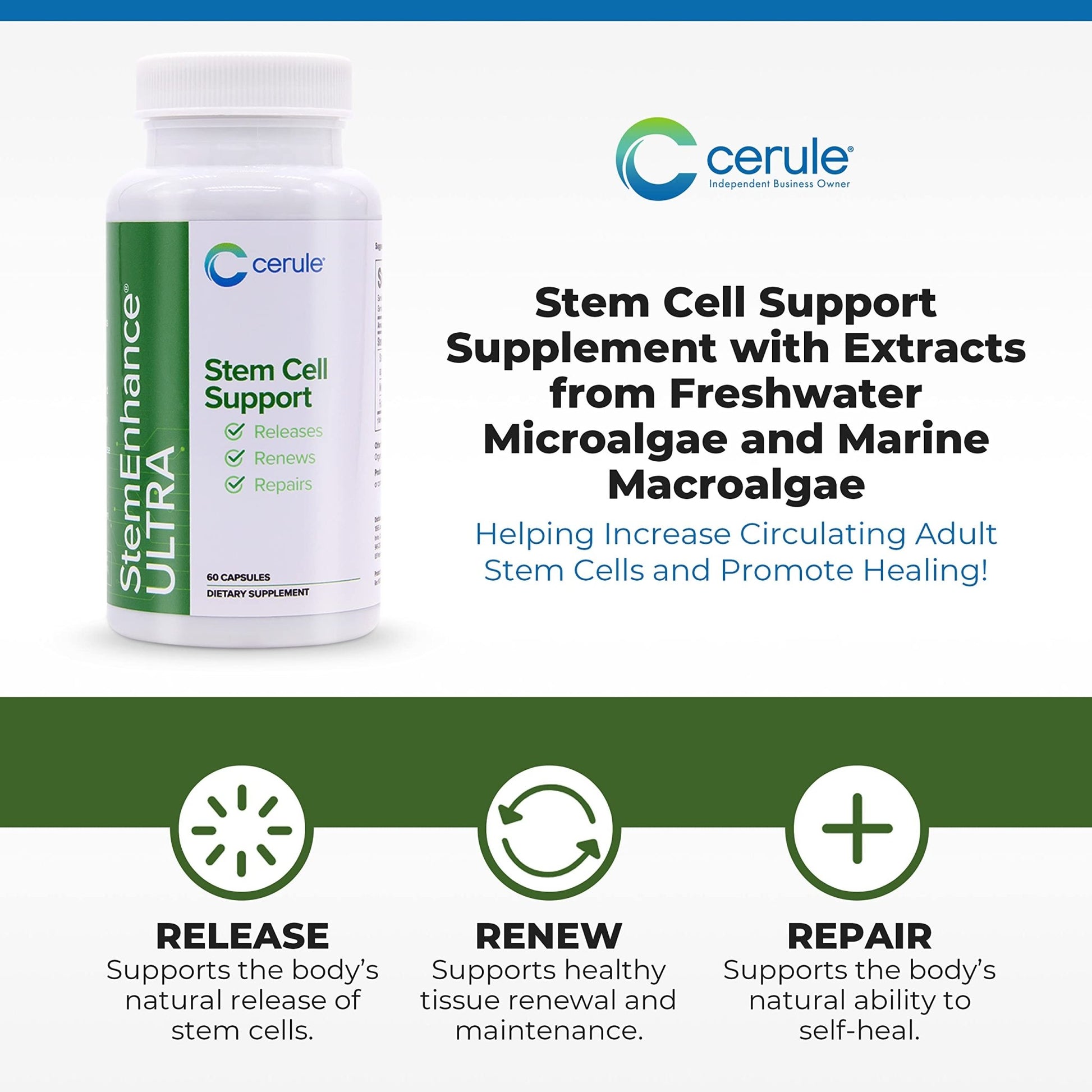 Cerule StemEnhance Ultra Natural Stem Cell Support Supplement – Freshwater Microalgae and Marine Macroalgae Extracts for Cellular Renewal, Immune Function, Energy, and Tissue Recovery – 60 Capsules - dailyvitalstore