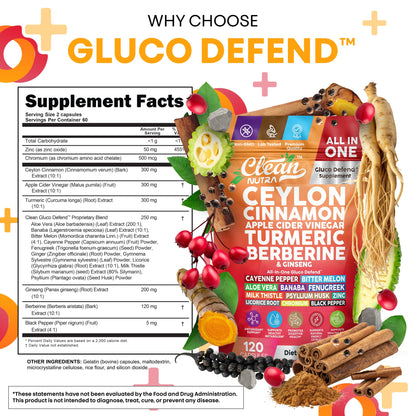 Ceylon Cinnamon Capsules + Apple Cider Vinegar Turmeric Supplement Ginseng Cayenne Pepper Bitter Melon Aloe Vera Fenugreek Milk Thistle Chromium - dailyvitalstore