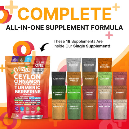 Ceylon Cinnamon Capsules + Apple Cider Vinegar Turmeric Supplement Ginseng Cayenne Pepper Bitter Melon Aloe Vera Fenugreek Milk Thistle Chromium - dailyvitalstore