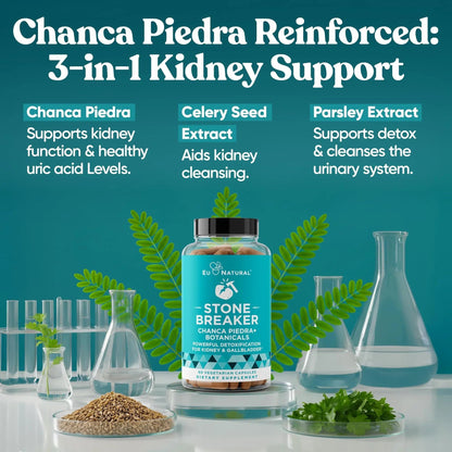 Chanca Piedra Stone Breaker - The Original Stone Breaking Formula with Celery Seed & Parsley - Supports Kidney, Gallbladder & Urinary Tract Cleansing to Help Flush Impurities - 60 Vegetarian Capsules - dailyvitalstore