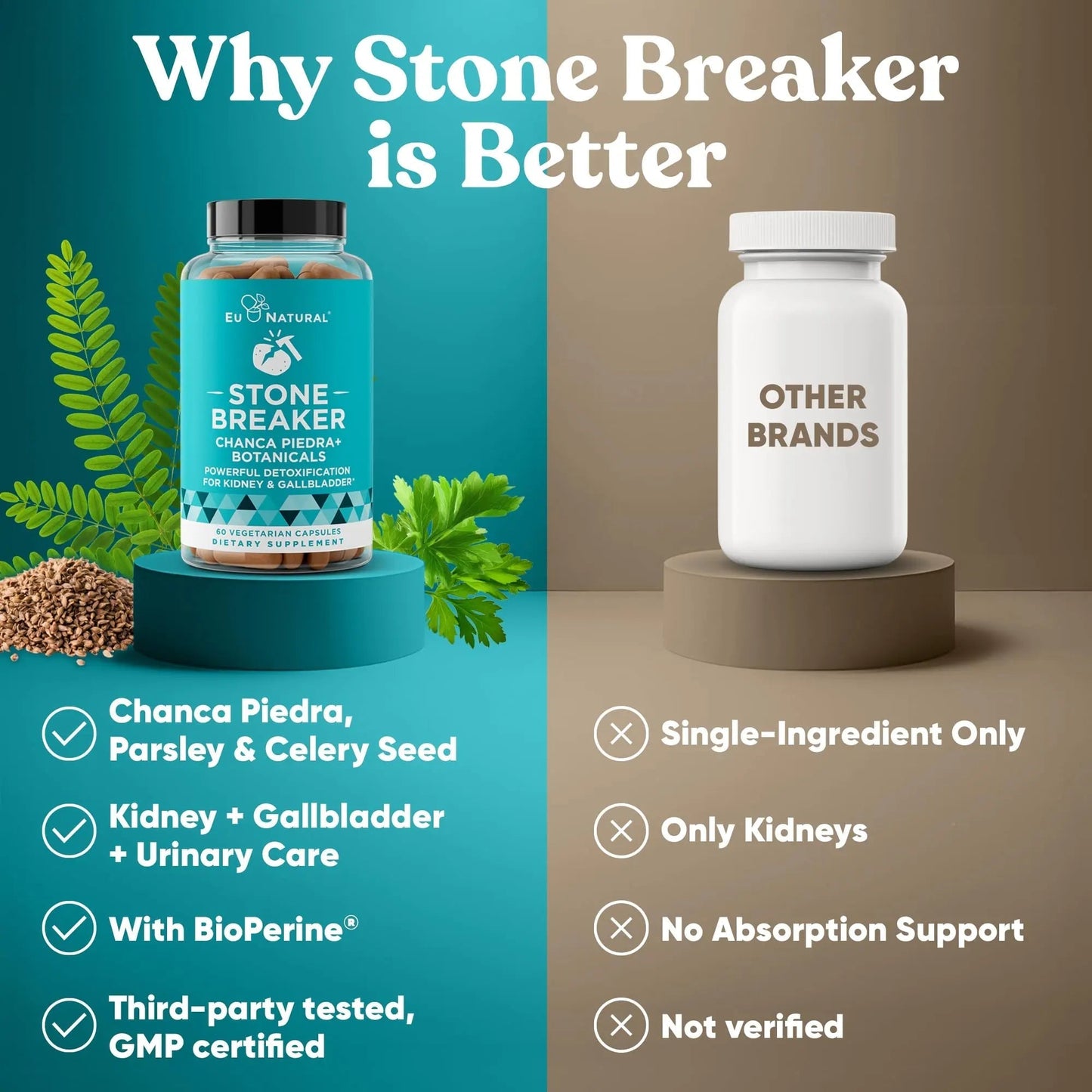 Chanca Piedra Stone Breaker - The Original Stone Breaking Formula with Celery Seed & Parsley - Supports Kidney, Gallbladder & Urinary Tract Cleansing to Help Flush Impurities - 60 Vegetarian Capsules - dailyvitalstore