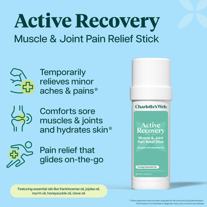 Charlotte's Web Active Recovery Muscle & Joint Pain Relief Stick 1oz - dailyvitalstore