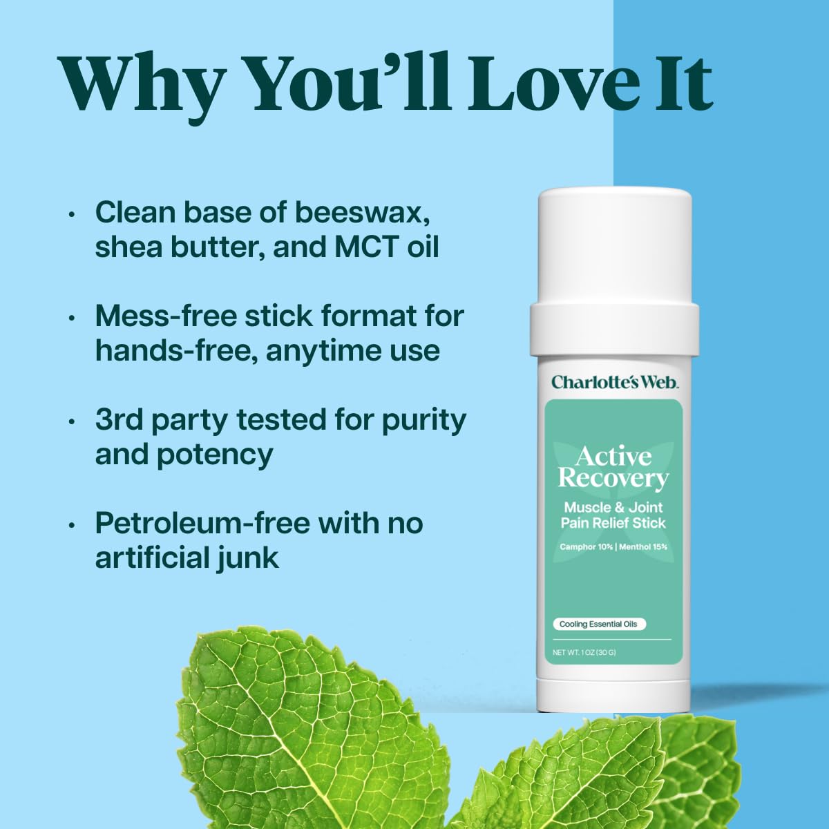 Charlotte's Web Active Recovery Muscle & Joint Pain Relief Stick 1oz - dailyvitalstore