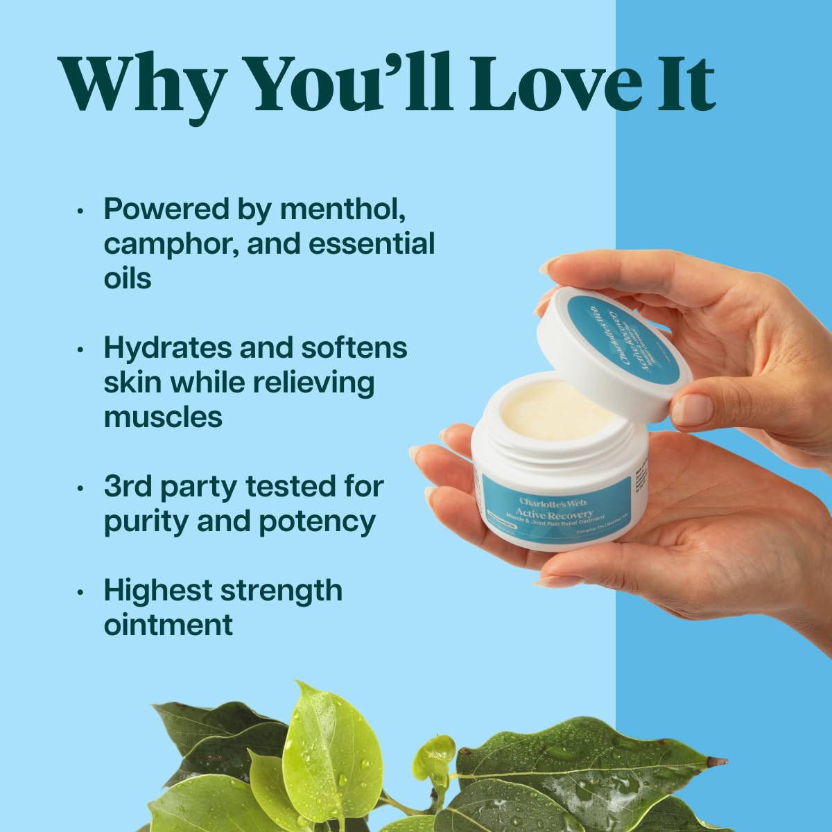 Charlotte's Web Active Recovery Muscle & Joint Relief Ointment 1.55oz - dailyvitalstore