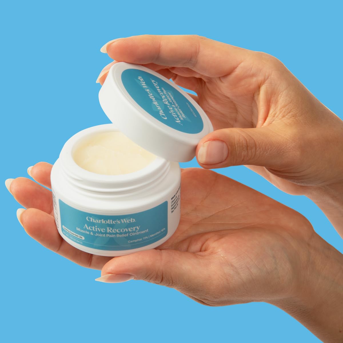 Charlotte's Web Active Recovery Muscle & Joint Relief Ointment 1.55oz - dailyvitalstore