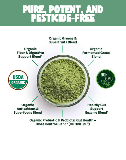 Cheerific Crisp Apple Greens Superfood Powder - 20+ Organic Superfoods + Prebiotic & Probiotics + More - Keto Friendly - Supports Positive Mood, Gut Health - Vegan, Gluten Free, Non-GMO - 30 Day - dailyvitalstore