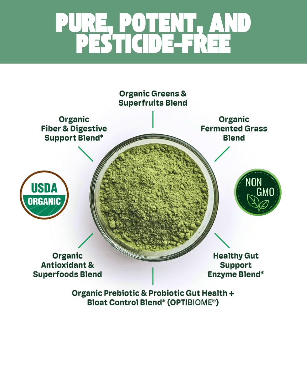 Cheerific Green Apple Bliss Superfood Powder - 20+ Organic Superfoods + Prebiotic & Probiotics + More - Keto Friendly - Supports Positive Mood, Gut Health - Vegan, Gluten Free, Non-GMO - 30 Day Supply - dailyvitalstore
