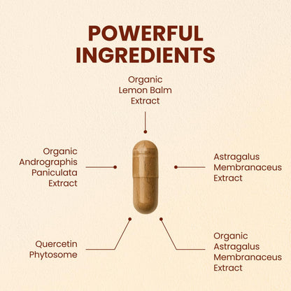 CHOQ Armor - Vegan Capsules - Professional-Grade Immune Defense - 20x Absorption Quercetin Phytosome - Andrographis - Astragalus - Supports Healthy Histamine Levels - dailyvitalstore