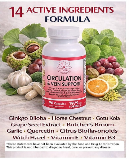 Circulation & Vein Support Supplement - Vitamins E & B3, Ginkgo Biloba, Horse Chestnut, Gotu Kola, Grape Seed, Butcher's Broom & Citrus Bioflavonoids - 1979 mg Formula - 90 Capsules - 30 Days Supply. - dailyvitalstore