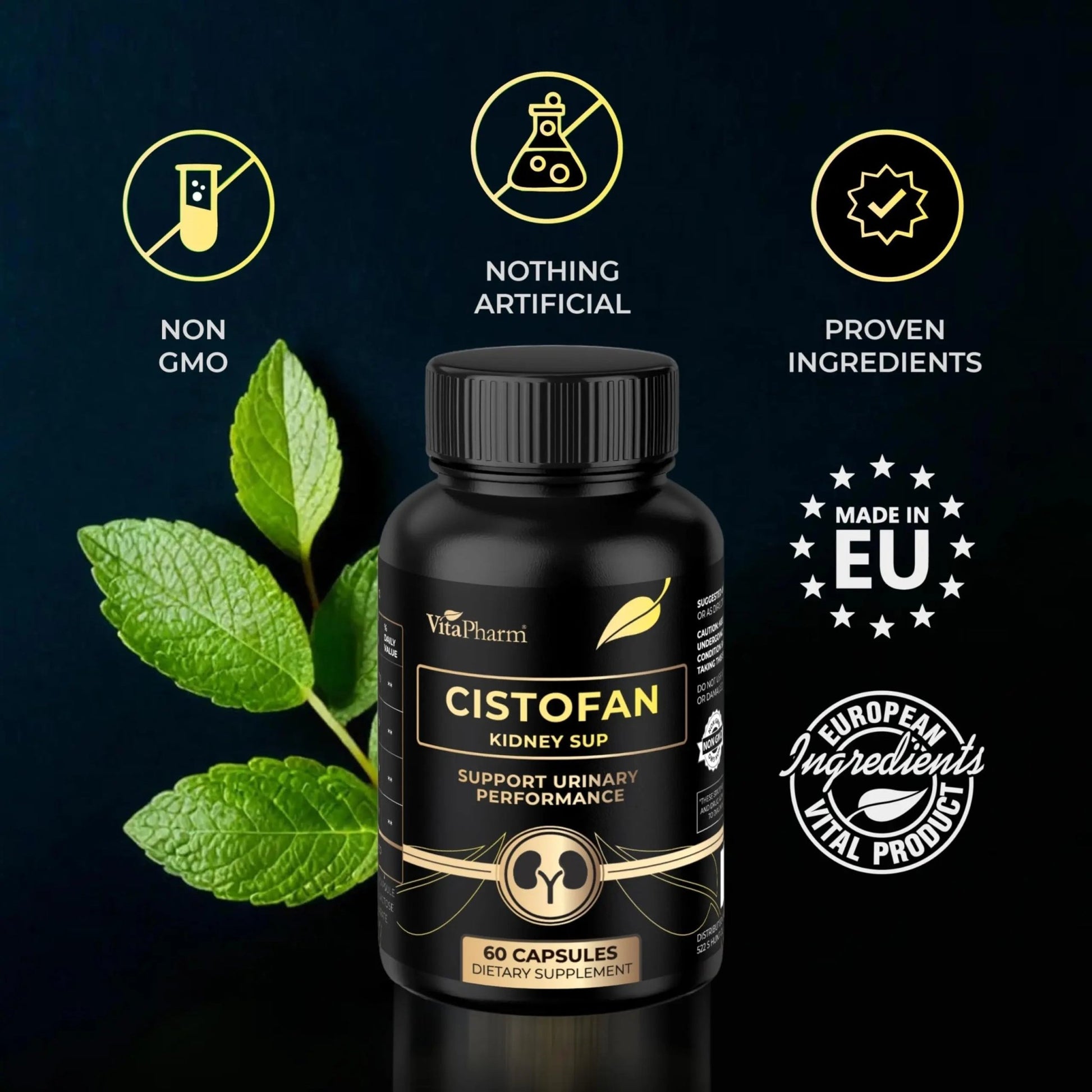 CISTOFAN Kidney Support Supplement – Herbal Formula with Java Tea, Birch Leaf, Parsley & Cranberry – Supports Urinary Tract & Kidney Function – Natural Diuresis – 60 Capsules – Non-GMO – Made in EU - dailyvitalstore