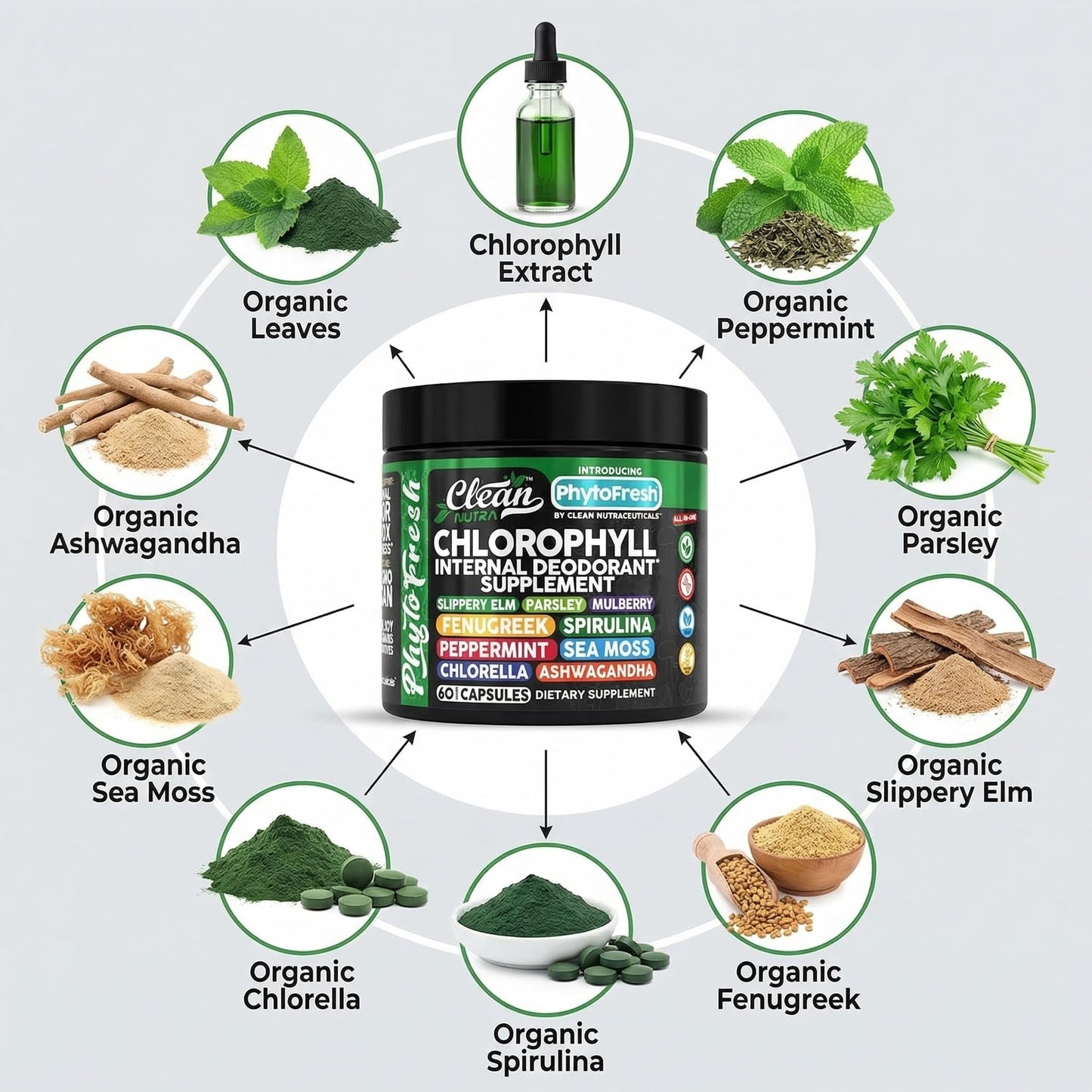 Clean Nutra Chlorophyll Capsules Supplement Internal Deodorant Peppermint, Sea Moss, Parsley, Chlorella, Spirulina, Slippery Elm, Ashwagandha, PhytoFresh Greens Detox Pills - dailyvitalstore