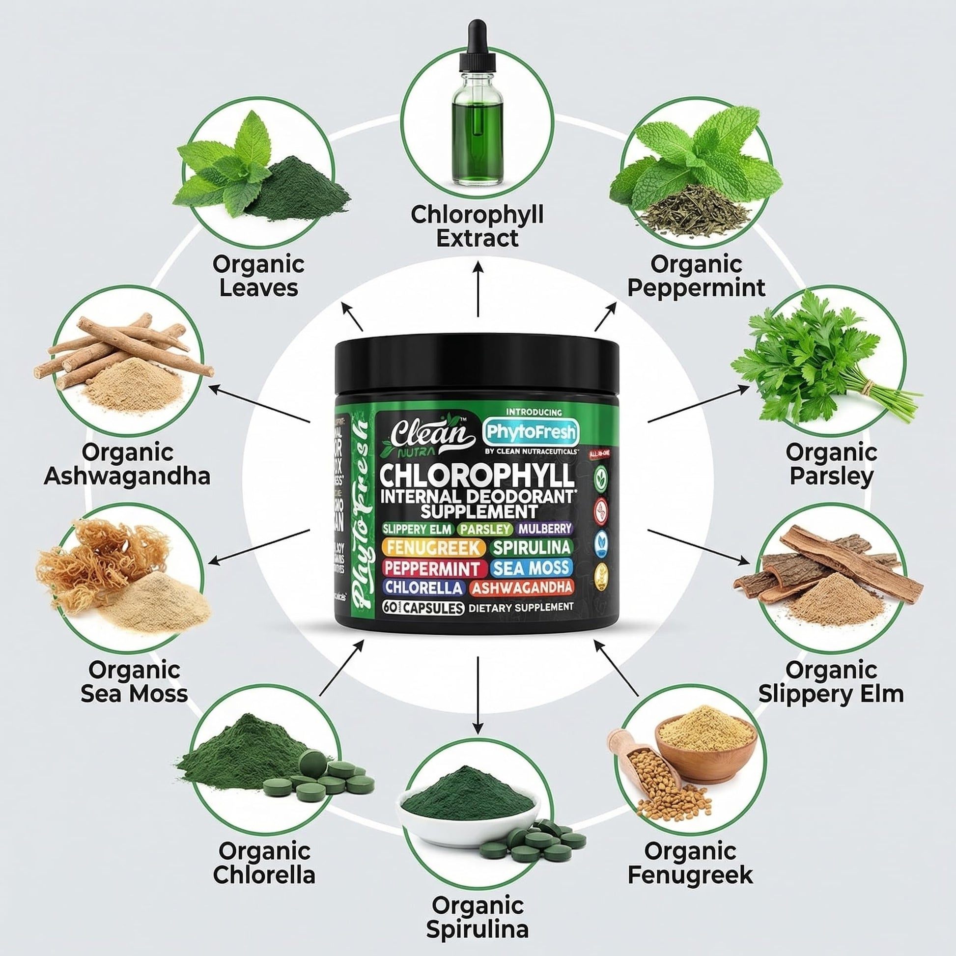 Clean Nutra Chlorophyll Capsules Supplement Internal Deodorant Peppermint, Sea Moss, Parsley, Chlorella, Spirulina, Slippery Elm, Ashwagandha, PhytoFresh Greens Detox Pills - dailyvitalstore