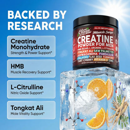 Clean Nutra Creatine Powder for Men + HMB BCAA L Arginine L Citrulline Tongkat Ali Saw Palmetto Ashwagandha Collagen Flax Seed Turmeric Preworkout Stevia - dailyvitalstore