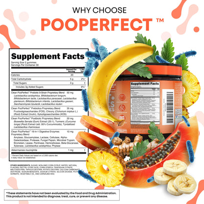 Clean Nutra Prebiotic Postbiotic Digestive Enzymes Gummies with Chicory Root, Boswellia Serrata, Turmeric, and Akkermansia | Pre+Post Probiotics Supplement - dailyvitalstore