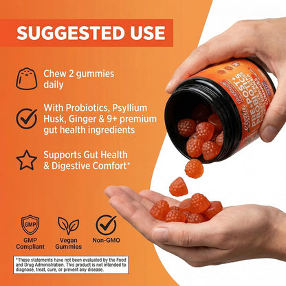 Clean Nutra Prebiotic Postbiotic Digestive Enzymes Gummies with Chicory Root, Boswellia Serrata, Turmeric, and Akkermansia | Pre+Post Probiotics Supplement - dailyvitalstore