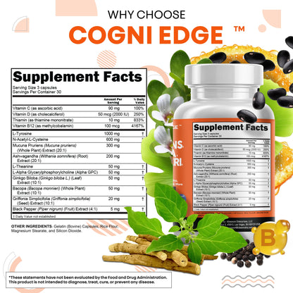 Clean Nutraceuticals L Tyrosine Mucuna Pruriens Bacopa Monnieri Ashwagandha Focus Supplement w/N-Acetyl Cysteine NAC 5-HTP Ginkgo Biloba Alpha GPC Vitamin C D B1 B12 - dailyvitalstore
