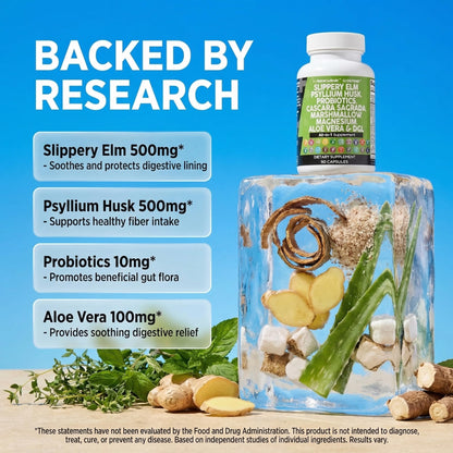 Clean Nutraceuticals Slippery Elm Psyllium Husk Pre Probiotic Digestive Gut Health Supplement with Aloe Vera Cascara Sagrada - dailyvitalstore