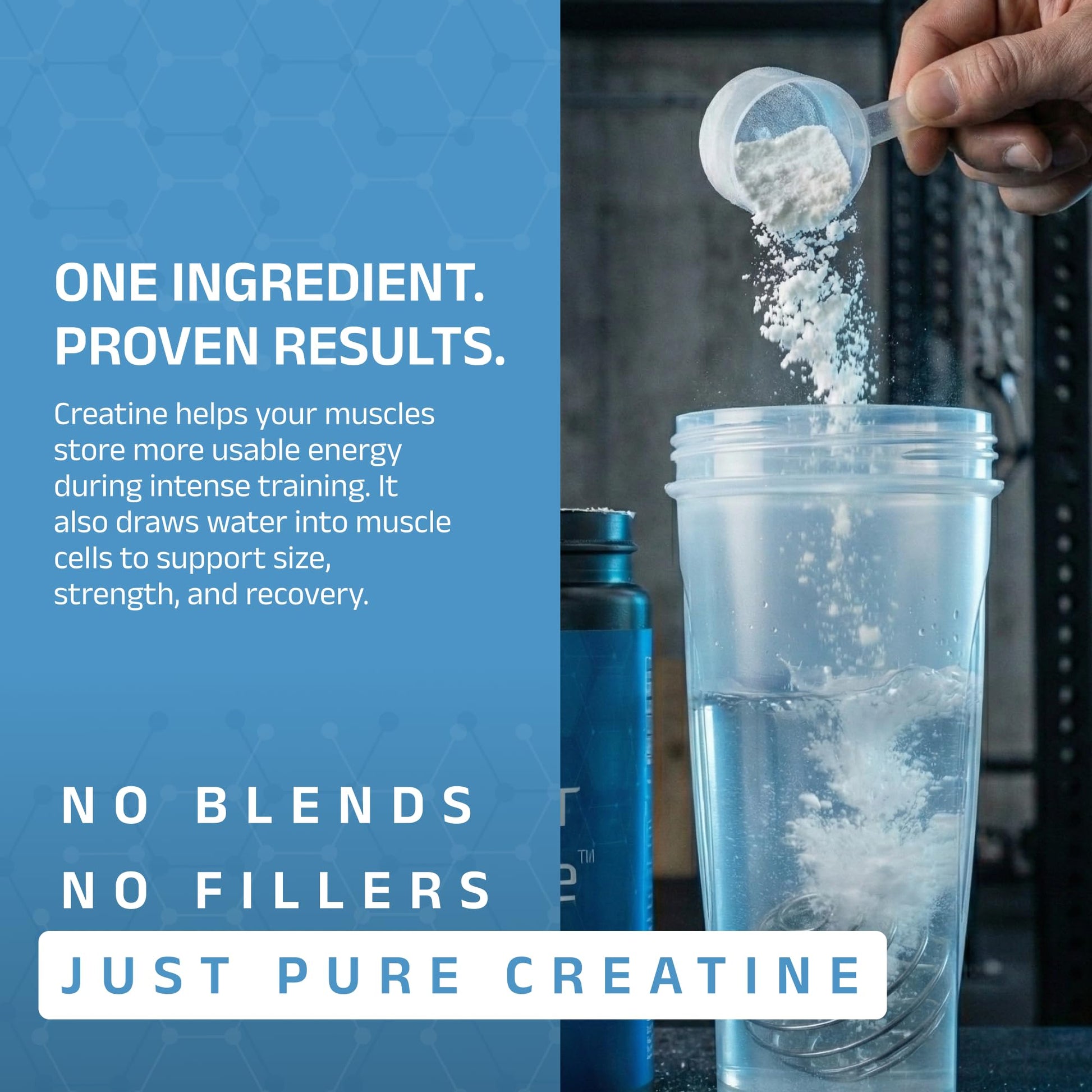 Cleanform Purest Creatine Monohydrate Powder - Ultra-Pure Micronized Supplement for Explosive Strength, Lean Muscle Growth - dailyvitalstore