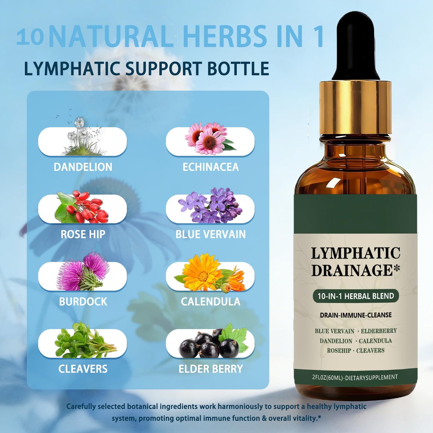 Cleantra Organic Lymphatic Drainage Drops,Natural Herbal Blend Lymphatic System Support Fast-Absorbing,Vegan & Non-GMO,Fast-Absorbing,2 fl oz (1PCS) - dailyvitalstore