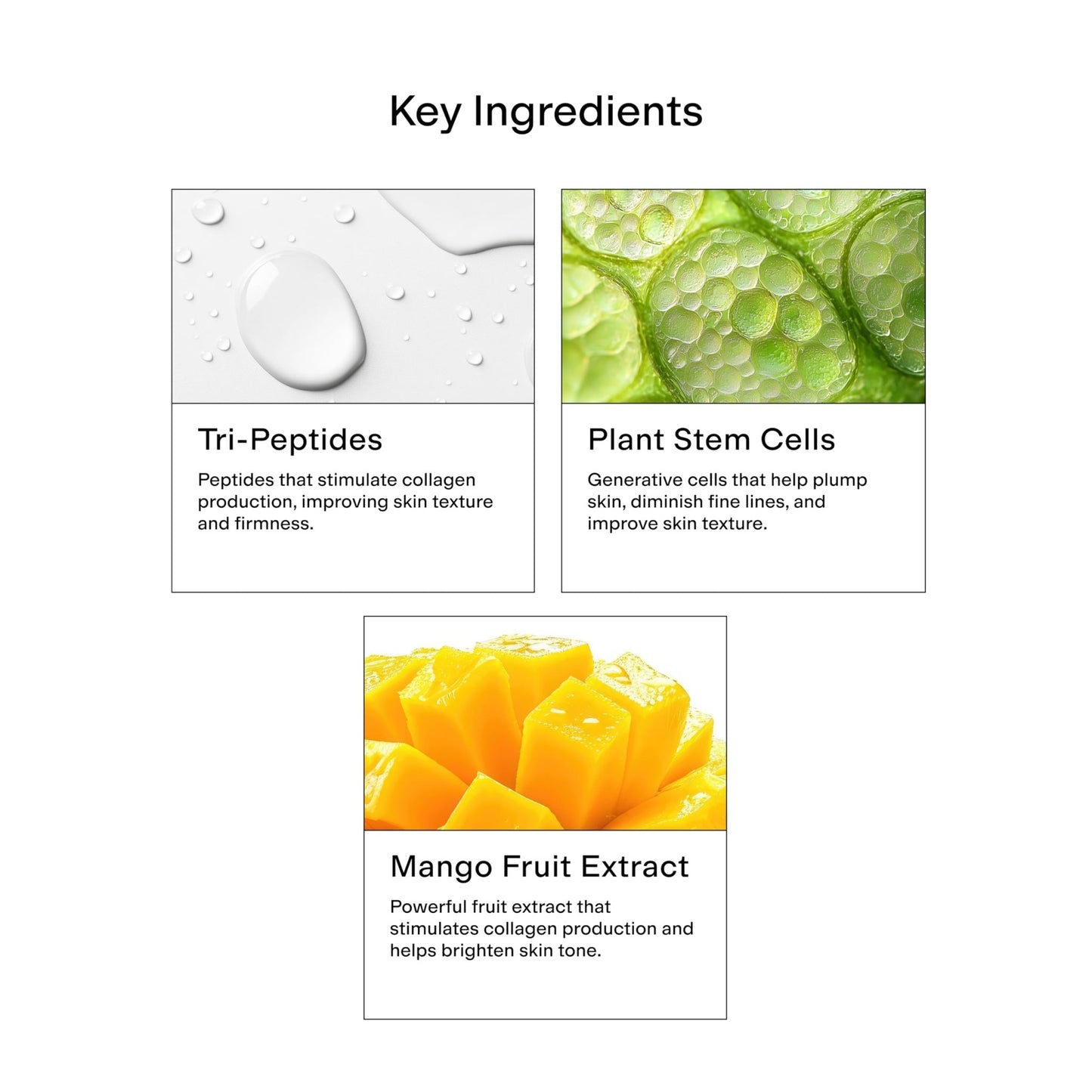 CLEARSTEM BOUNCEBACK Radiant Facial Serum - Peptide Serum for Hydration & Smooth-Looking Skin with Tri-Peptides and Mango Fruit Extracts - dailyvitalstore