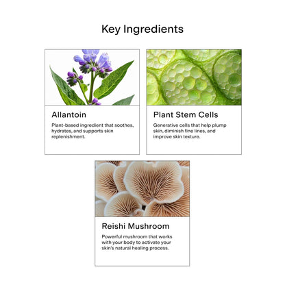 CLEARSTEM - CELLRENEW - Collagen Stem Cell Serum - Acne + Youthful Skin Face Serum - Hyaluronic Acid, Reishi, Aloe Vera - Facial Skin Care Products - dailyvitalstore