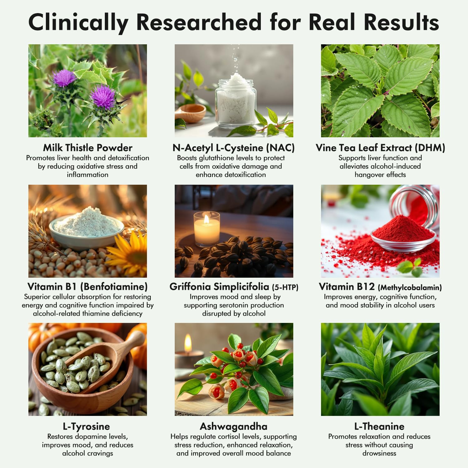 Cloud9 Daily Restore – Liver Detox & Recovery Supplement with Milk Thistle, NAC & B-Vitamins – Energy, Focus & Nutrient Support - dailyvitalstore