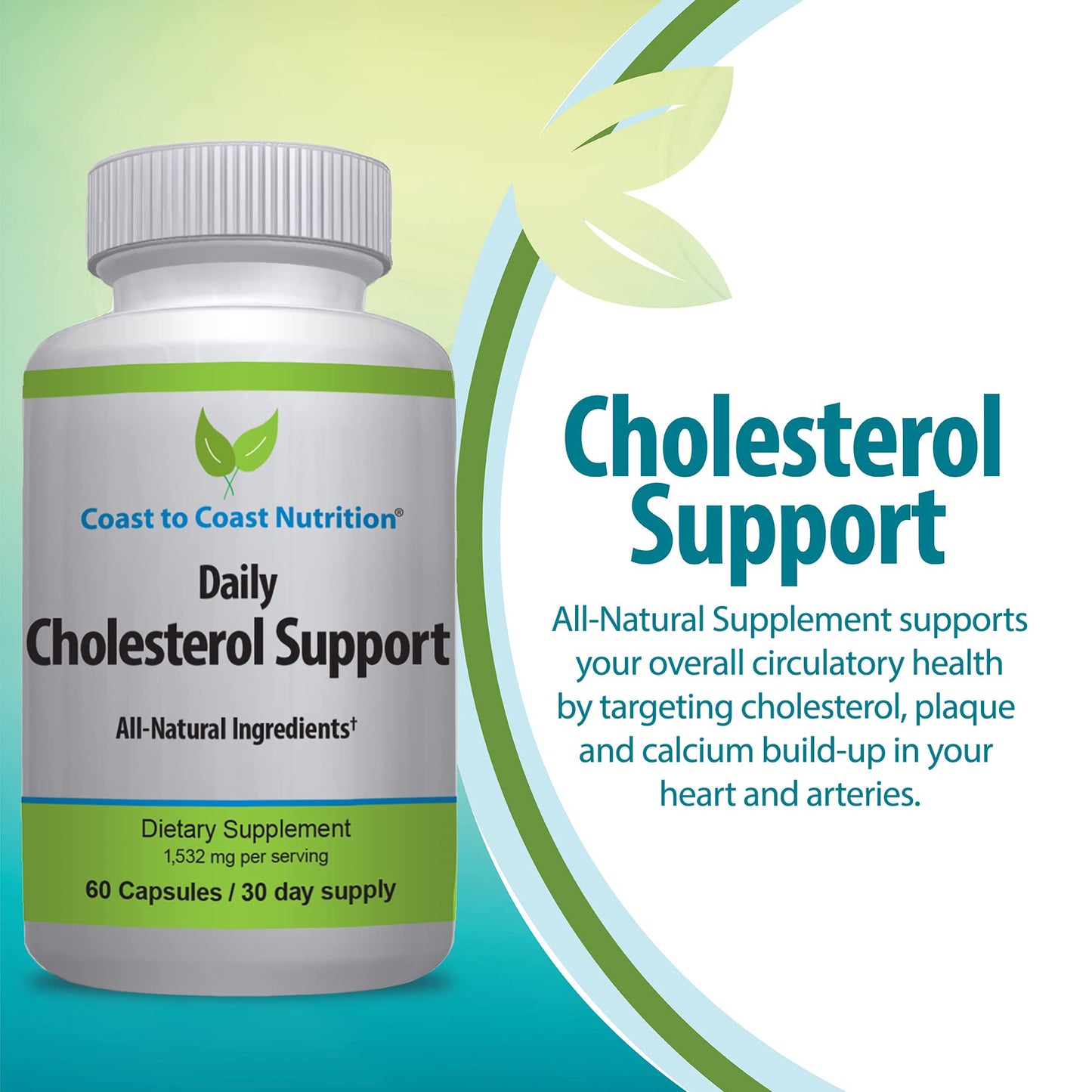 Coast to Coast Nutrition Cholesterol Support Supplement - Support Cardiovascular & Artery Performance, Target Bad LDL Levels & Plaque Calcium Buld-Up - Promote Circulation & Blood Flow - 60 Capsules - dailyvitalstore