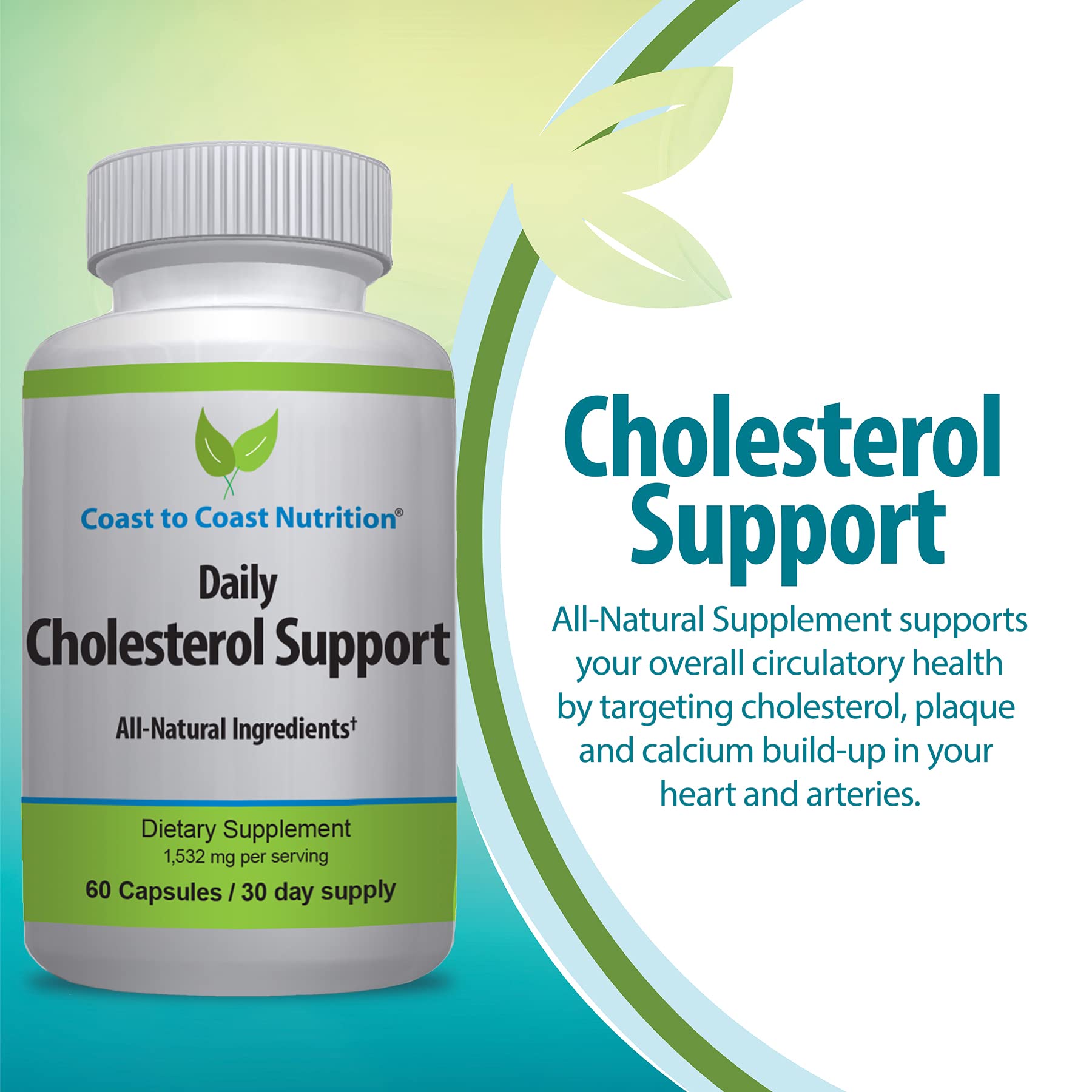 Coast to Coast Nutrition Cholesterol Support Supplement - Support Cardiovascular & Artery Performance, Target Bad LDL Levels & Plaque Calcium Buld-Up - Promote Circulation & Blood Flow - 60 Capsules - dailyvitalstore