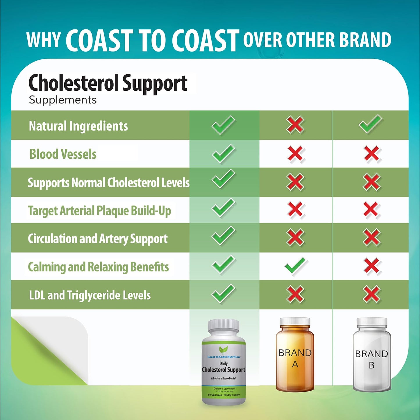 Coast to Coast Nutrition Cholesterol Support Supplement - Support Cardiovascular & Artery Performance, Target Bad LDL Levels & Plaque Calcium Buld-Up - Promote Circulation & Blood Flow - 60 Capsules - dailyvitalstore