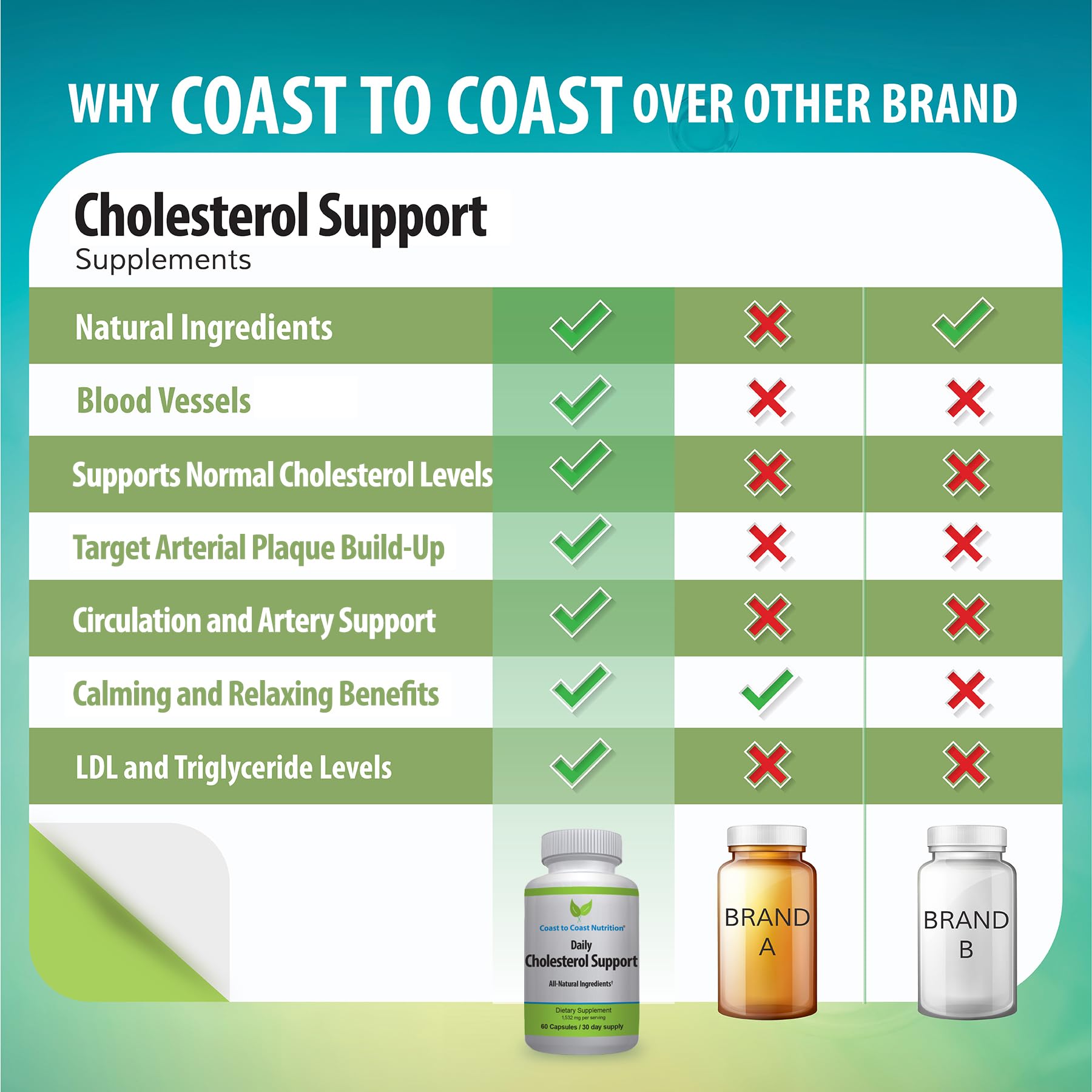 Coast to Coast Nutrition Cholesterol Support Supplement - Support Cardiovascular & Artery Performance, Target Bad LDL Levels & Plaque Calcium Buld-Up - Promote Circulation & Blood Flow - 60 Capsules - dailyvitalstore