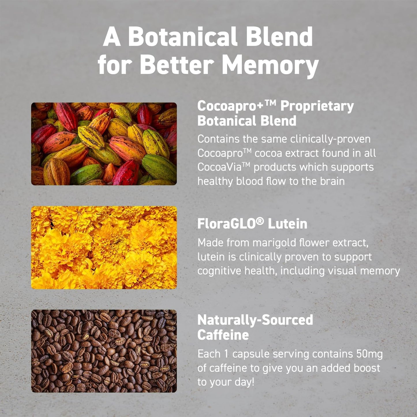 CocoaVia Memory & Focus Brain Supplement, 90 Day, Cocoa Flavanol Blend, Lutein, Added Caffeine for Boost. Improve Cognitive Function, Attention, Vegan & Plant Based, 90 Capsules - dailyvitalstore