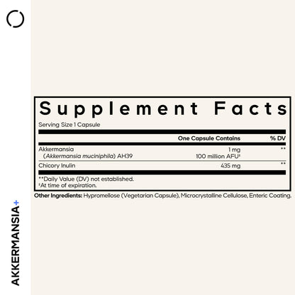 Codeage Akkermansia Muciniphila Probiotic Supplement - 3-Month Supply of Akkermansia & Chicory Inulin - Daily Synbiotic Probiotic Chicory Root - 100 Million AFUs - Gluten-Free - 90 Capsules - dailyvitalstore