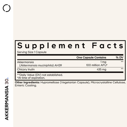 Codeage Akkermansia Synbiotic Supplement - 100 Million AFU Akkermansia Probiotic & Chicory Inulin Prebiotic - Chicory Root - 1 Capsule Per Serving - Non-GMO, Gluten-Free - 30 Capsules - dailyvitalstore
