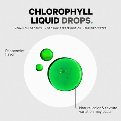 Codeage Chlorophyll Liquid Drops Supplement - Vegan Chlorophyll 50 mg per Serving, Organic Peppermint Flavor Clorofila Drink - Non-GMO, Gluten-Free, Vegan - 2 fl oz - dailyvitalstore