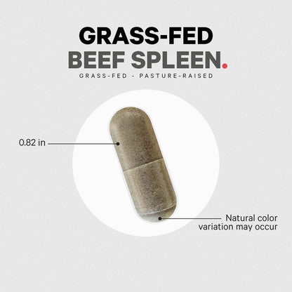 Codeage Grass Fed Beef Spleen Supplement - 2-Month Supply - Freeze Dried, Non-Defatted, Desiccated Bovine Pills Glandulars Meat – Pasture Raised Beef Vitamins for Spleen -180 Capsules - dailyvitalstore