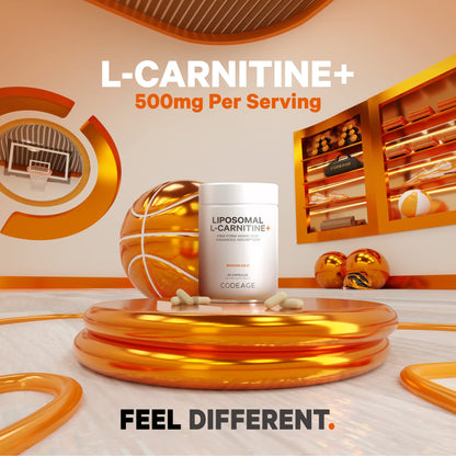 Codeage Liposomal L-Carnitine+ Supplement - 500 mg L-Carnitine L-Tartrate per Serving - Free-Form Amino Acid - Carnitine - Liposomal Delivery - Vegan, Non-GMO, Gluten-Free - 90 Capsules - dailyvitalstore