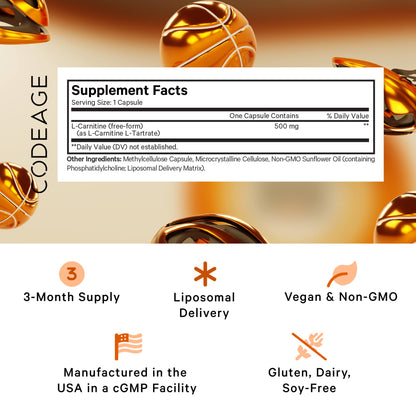 Codeage Liposomal L-Carnitine+ Supplement - 500 mg L-Carnitine L-Tartrate per Serving - Free-Form Amino Acid - Carnitine - Liposomal Delivery - Vegan, Non-GMO, Gluten-Free - 90 Capsules - dailyvitalstore