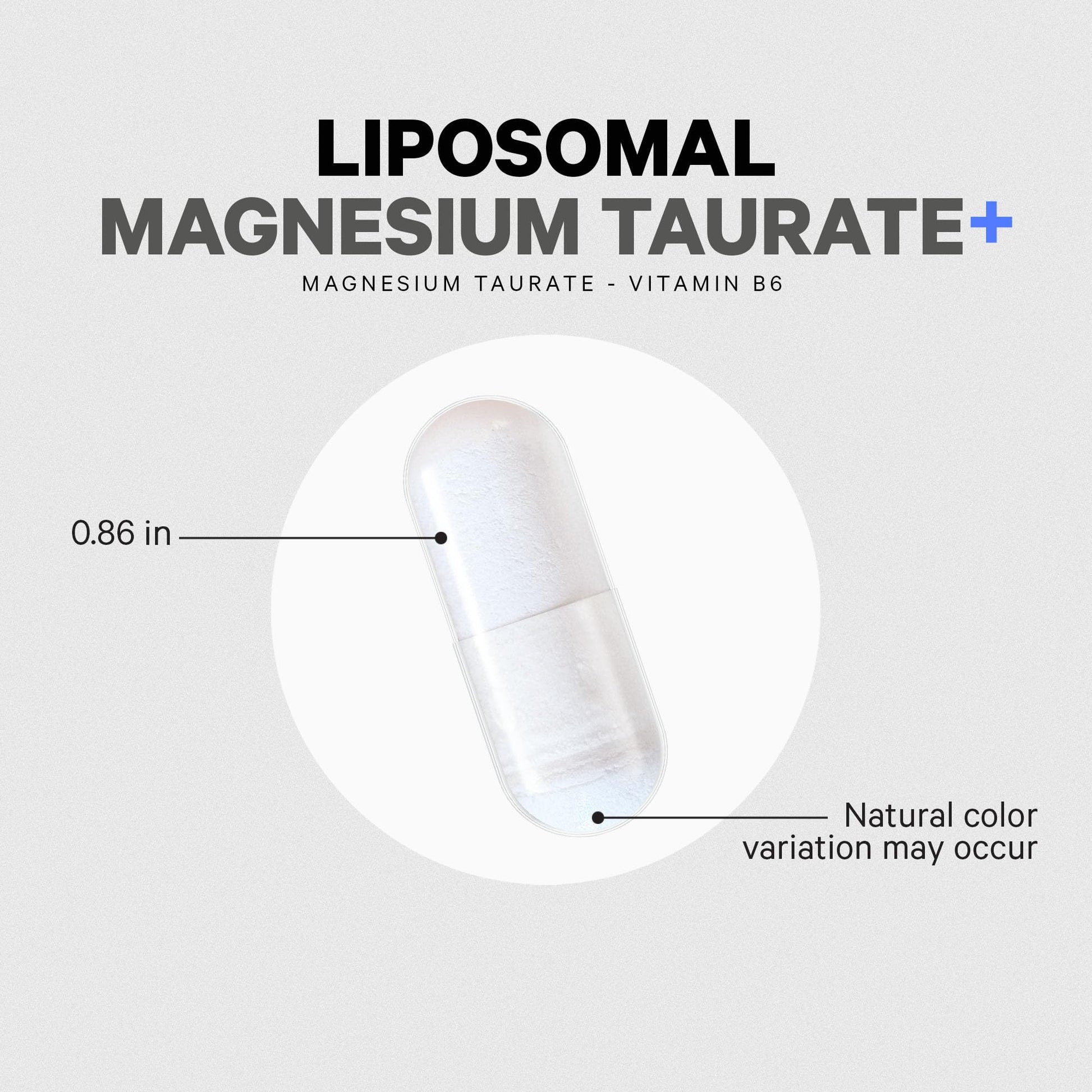Codeage Liposomal Magnesium Taurate+ Supplement - Magnesium Taurate, Vitamin B6 as Pyridoxal 5-Phosphate, 2-Month Supply - Liposomal Delivery, Vegan, Non-GMO, Gluten-Free, 120 Capsules - dailyvitalstore