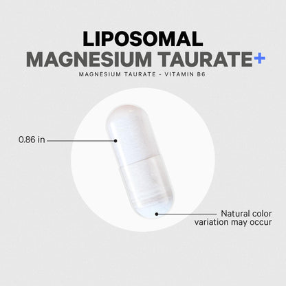 Codeage Liposomal Magnesium Taurate+ Supplement - Magnesium Taurate, Vitamin B6 as Pyridoxal 5-Phosphate, 2-Month Supply - Liposomal Delivery, Vegan, Non-GMO, Gluten-Free, 120 Capsules - dailyvitalstore