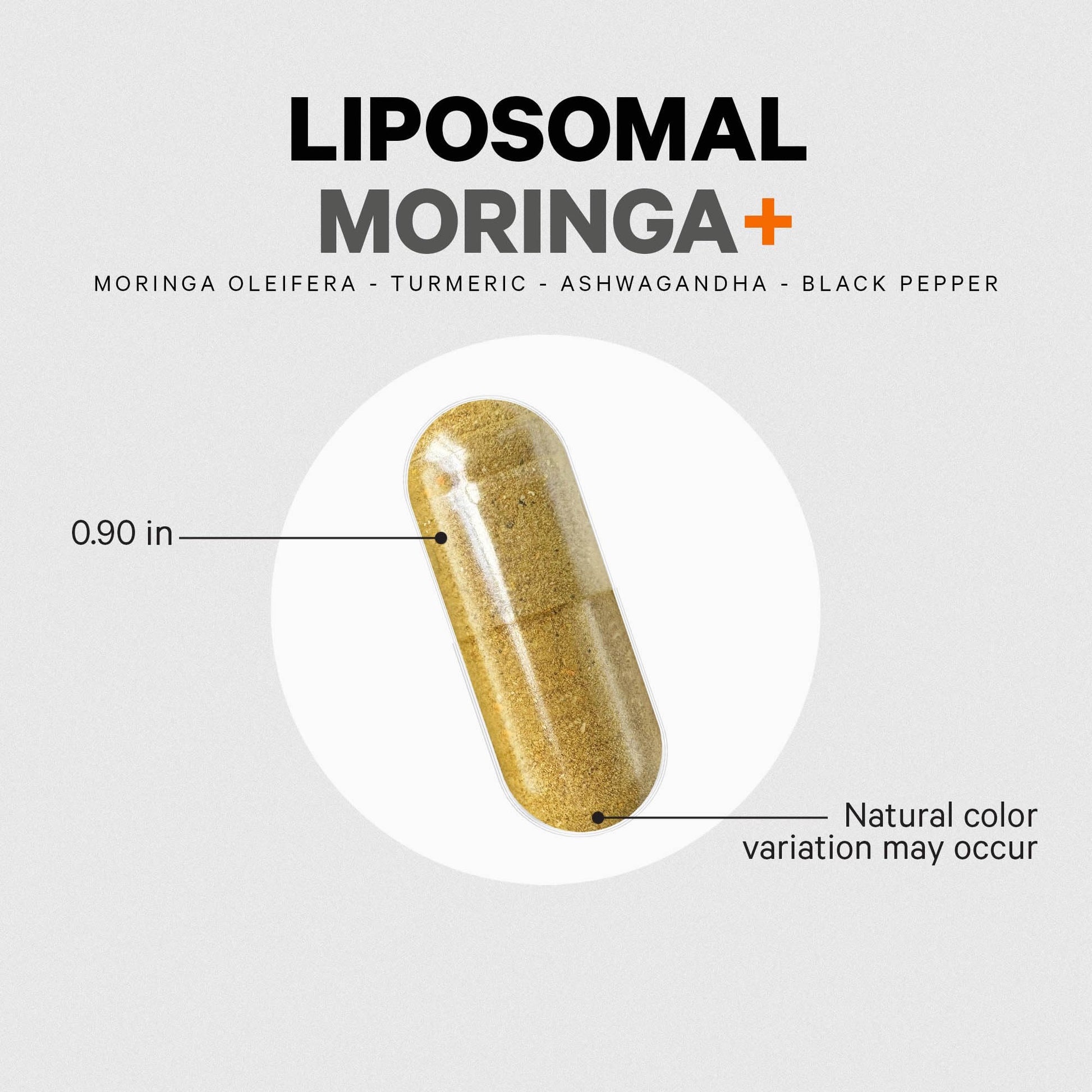 Codeage Liposomal Moringa+ Supplement, 400mg Moringa 50:1 Extract - Turmeric, Ashwagandha, Black Pepper, 3-Month Supply, Vegan Moringa Powder - 180 Capsules - dailyvitalstore