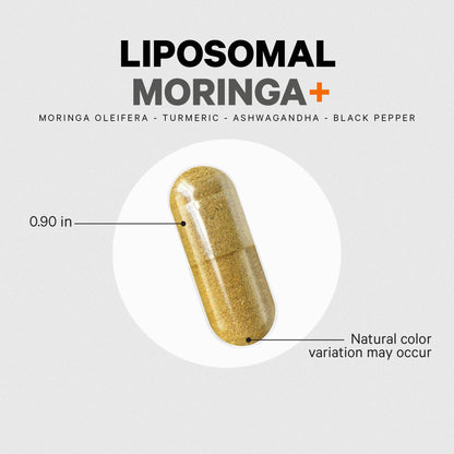Codeage Liposomal Moringa+ Supplement, 400mg Moringa 50:1 Extract - Turmeric, Ashwagandha, Black Pepper, 3-Month Supply, Vegan Moringa Powder - 180 Capsules - dailyvitalstore