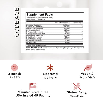 Codeage Liposomal Multi Amino Powder Supplement - BCAA & EAA Supplement All 9 Essential Amino Acids, Branched-Chain Amino Acid, Pre & Post Workout, Unflavored, Liposomal Delivery, Non-GMO, 6.15 oz - dailyvitalstore