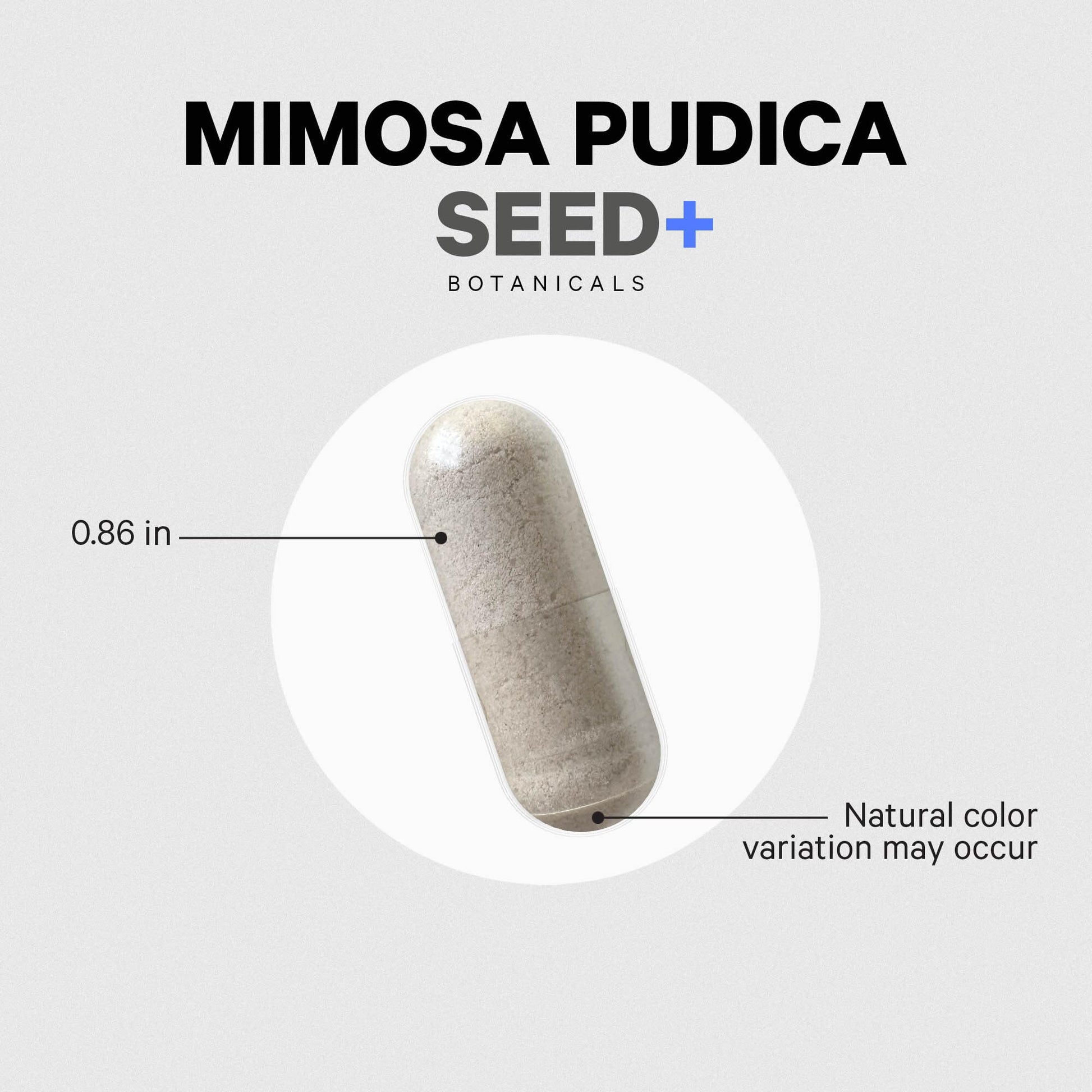 Codeage Organic Mimosa Pudica Seed Capsules - Mimosa Pudica Seeds Supplement - Black Walnut, Cloves, Vidanga, Neem, BioPerine - All in One - Sensitive Plant Pills - Non-GMO & Vegan - 120 Capsules - dailyvitalstore