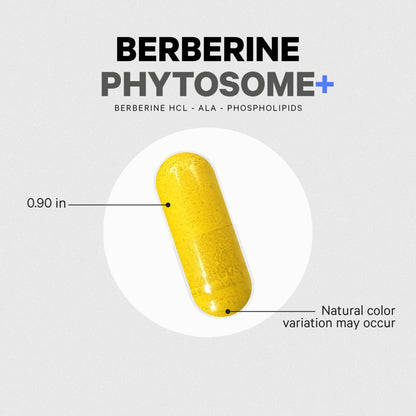 Codeage Phytosome Supplement - Berberine HCL, Alpha Lipoic Acid, Phospholipid Complex - 2-Month Supply - Berberine HCL - Berberine Hydrochloride - Gluten-Free, Non-GMO - 60 Capsules - dailyvitalstore